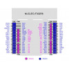NUCLEO-F302R8